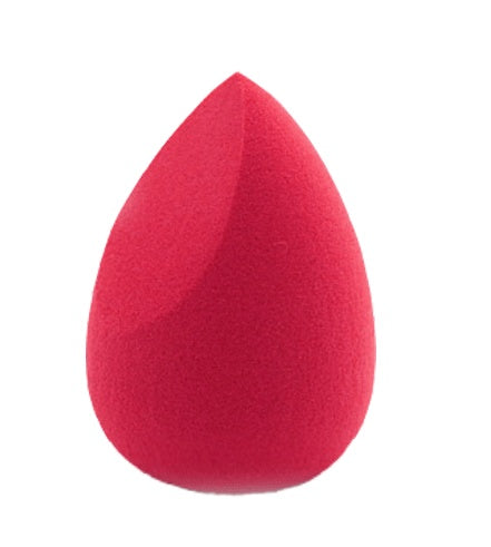 Make Up Blender 10 Pcs