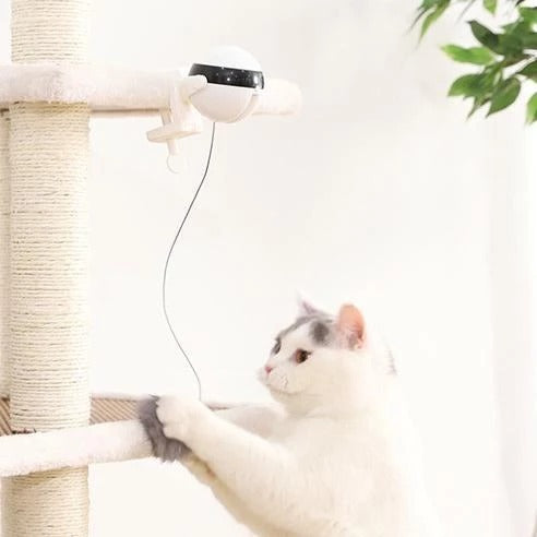 Pet Cat Toy Electronic