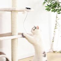 Pet Cat Toy Electronic